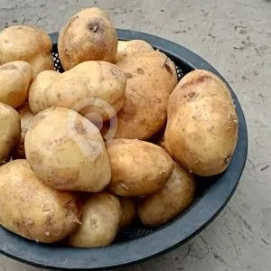 Pottato-1kg