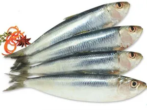 Karichala-1.KG