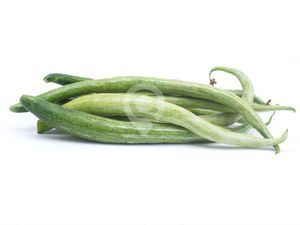Padavalanga-500gm