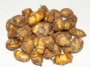 Small Chembu-500gm